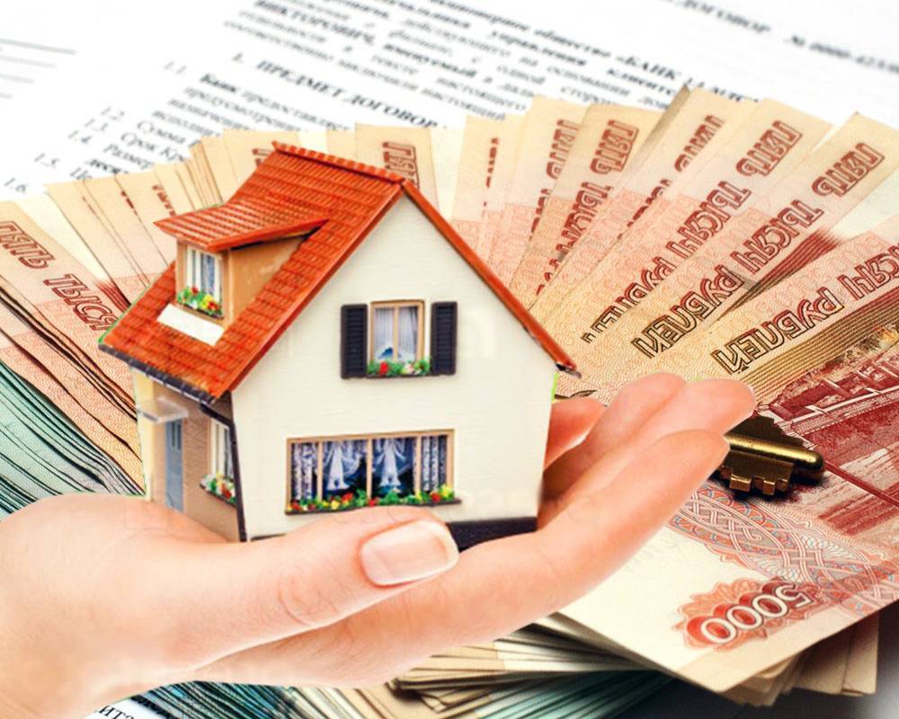Cogir Neuf Purchase G829244df3 1920 2393